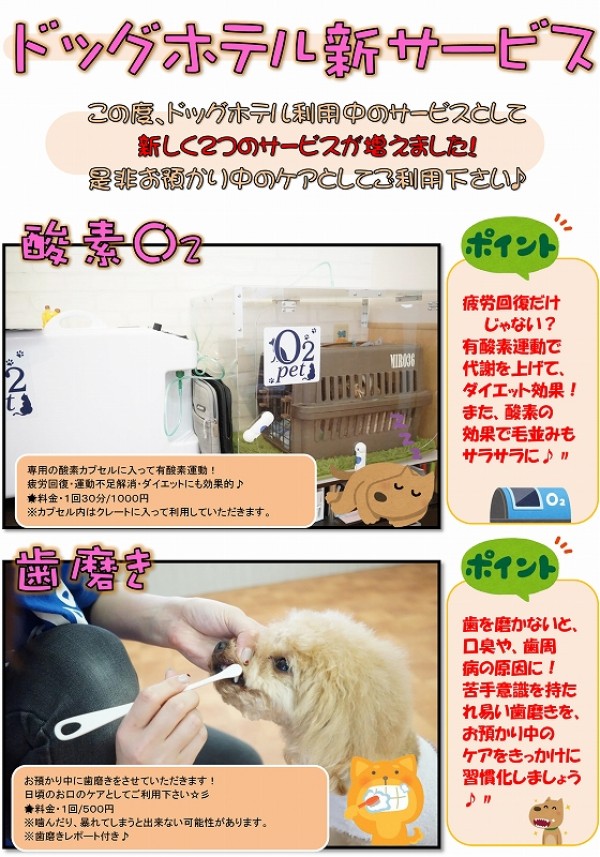 新サービス登場のお知らせ