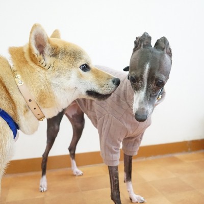 今までの思い出 【88】