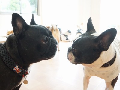 今までの思い出 【88】のサムネイル