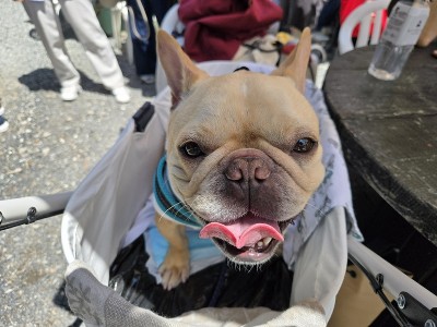 春の遠足ツアーinグランドロックキャッスル③のサムネイル