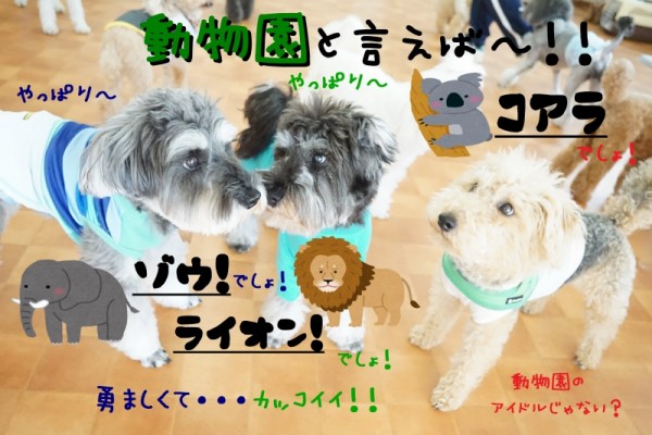 集合写真Week 火曜日編！