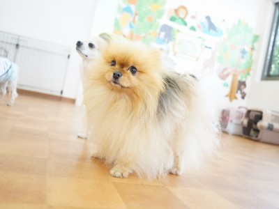 今までの思い出 【88】のサムネイル