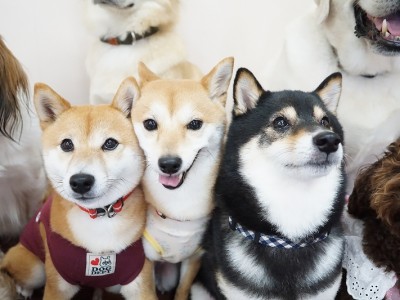 授業の様子♪ 82のサムネイル