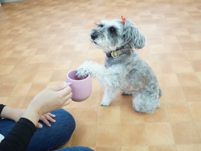 授業の様子♪ 85のサムネイル