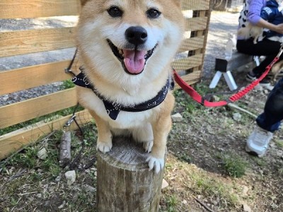 春の遠足ツアーinグランドロックキャッスル③のサムネイル