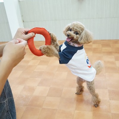 授業の様子♪ 77