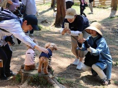 春の遠足ツアーinグランドロックキャッスル③のサムネイル