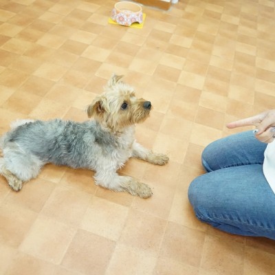 授業の様子♪ 78