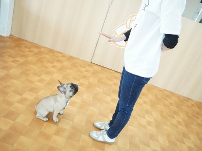 授業の様子♪ 84のサムネイル