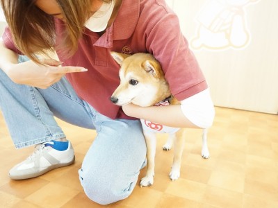 授業の様子♪ 82のサムネイル