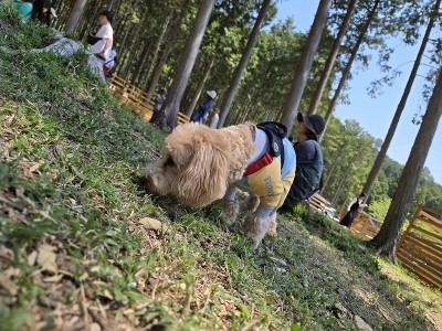 春の遠足ツアーinグランドロックキャッスル③のサムネイル