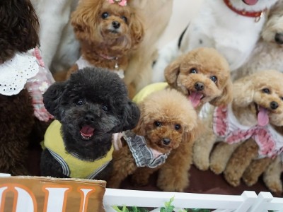 授業の様子♪ 83のサムネイル