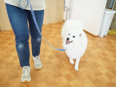 授業の様子♪ 84のサムネイル