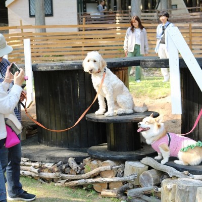 春の遠足ツアーinグランドロックキャッスル①