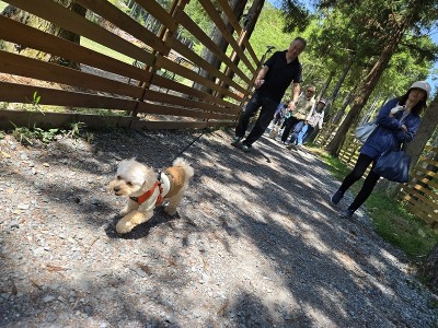 春の遠足ツアーinグランドロックキャッスル③のサムネイル