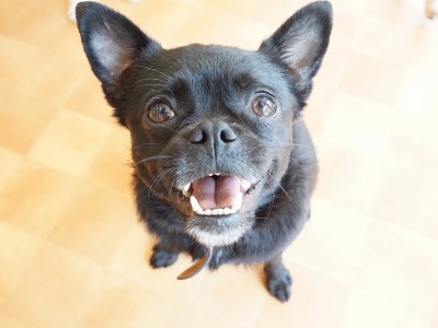 授業の様子♪ 83のサムネイル