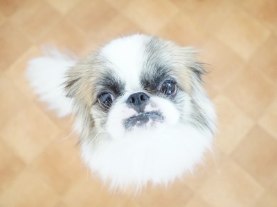 授業の様子♪ 84のサムネイル