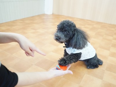 授業の様子♪ 82のサムネイル