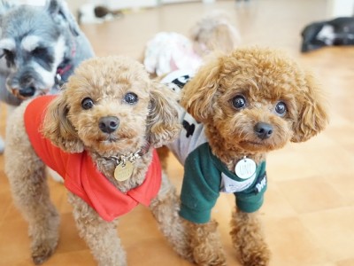 今までの思い出 【90】のサムネイル