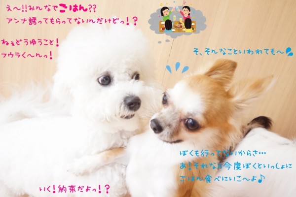 晴れるといいね～🌞