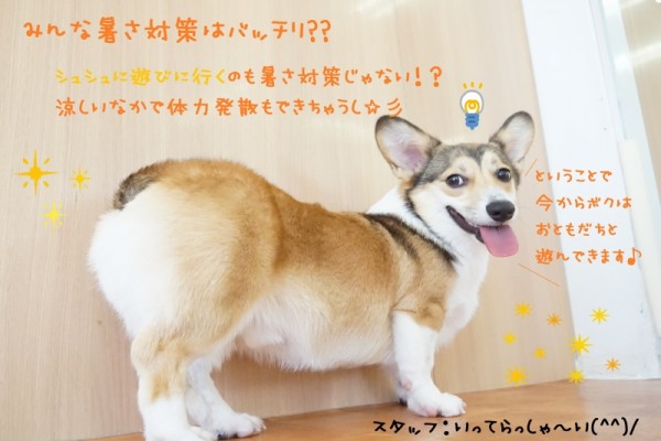 みんな楽しいおもちゃWEEK🌟