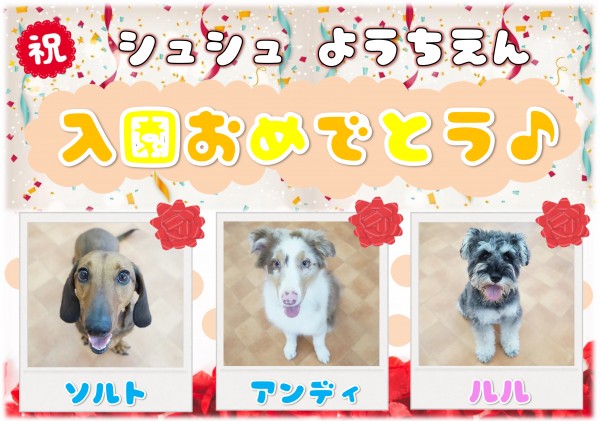 幼稚園新入生のお知らせ ~Vol.95~