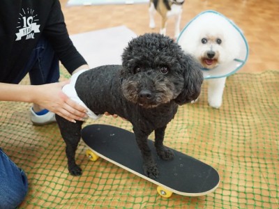 授業の様子♪ 82のサムネイル