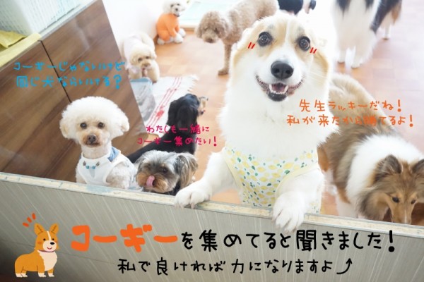 ルールを守って遊びましょう！