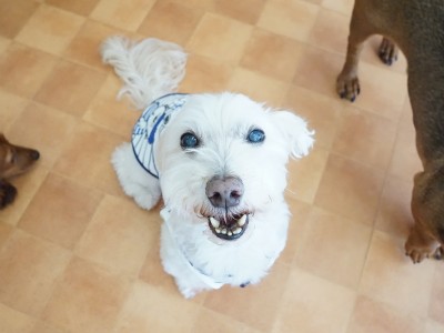 授業の様子♪ 82のサムネイル