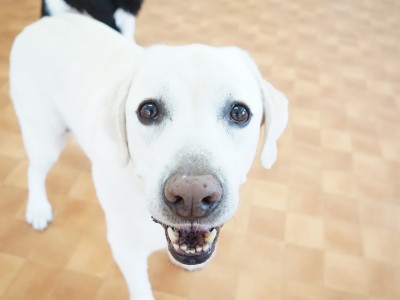 授業の様子♪ 85のサムネイル