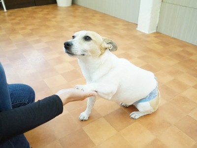 授業の様子♪ 85のサムネイル