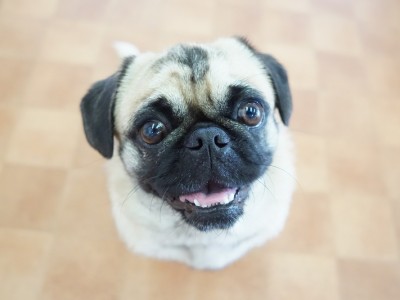 授業の様子♪ 81のサムネイル