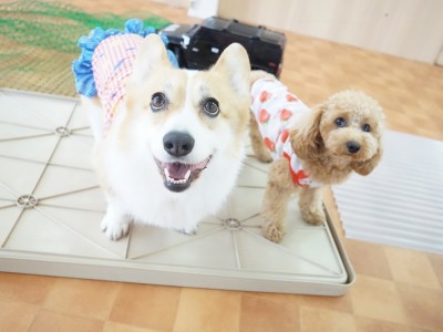 授業の様子♪ 86のサムネイル