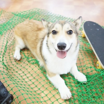 授業の様子♪ 79