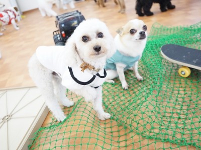 授業の様子♪ 84のサムネイル