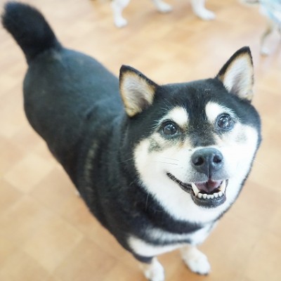 今までの思い出 【89】