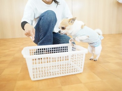 授業の様子♪ 84のサムネイル