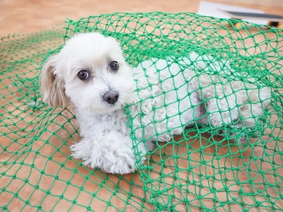 授業の様子♪ 83のサムネイル