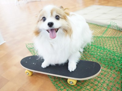 授業の様子♪ 85のサムネイル