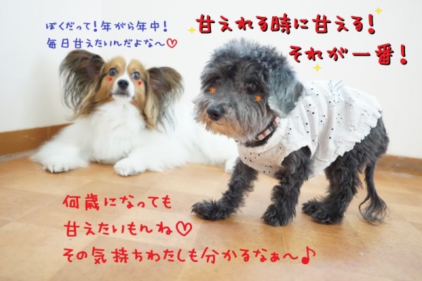 やっぱり実家はいいなぁ～(´艸｀*)