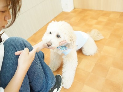 授業の様子♪ 89のサムネイル