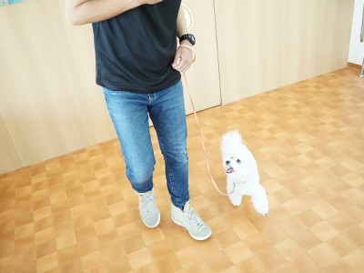 授業の様子♪ 86のサムネイル