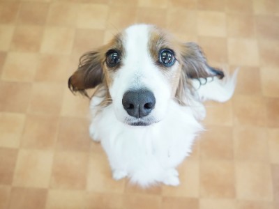 授業の様子♪ 86のサムネイル