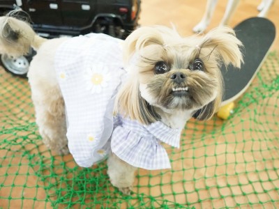 授業の様子♪ 81のサムネイル