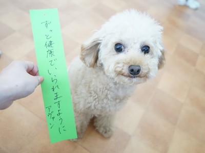 授業の様子♪ 89のサムネイル