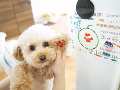 授業の様子♪ 90のサムネイル