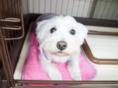 授業の様子♪ 81のサムネイル