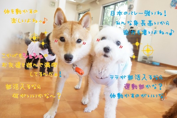 みんなでジャンプジャンプ♪