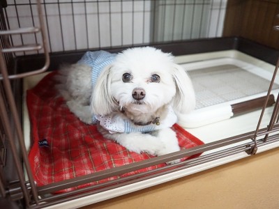 授業の様子♪ 88のサムネイル