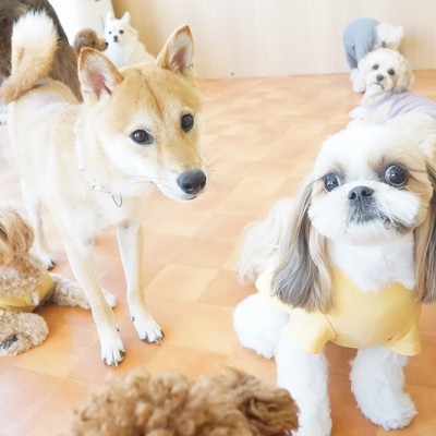 今までの思い出 【90】